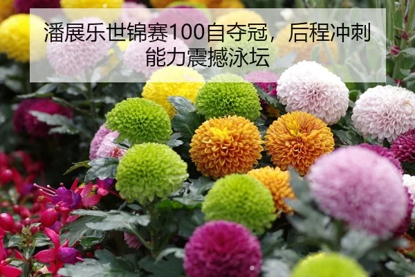 潘展乐世锦赛100自夺冠，后程冲刺能力震撼泳坛