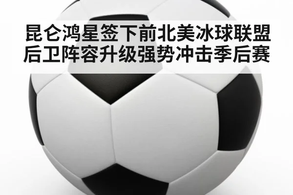 昆仑鸿星签下前北美冰球联盟后卫阵容升级强势冲击季后赛